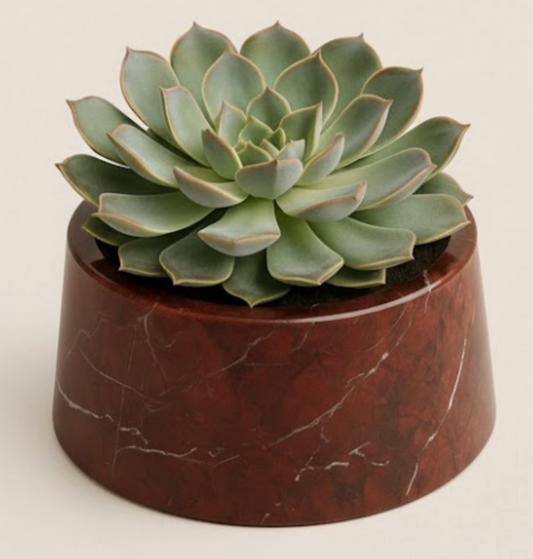 Cherry Marble Succulent Planter – Handcrafted